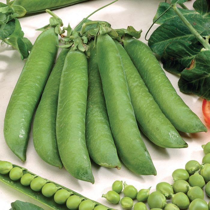 Green Peas