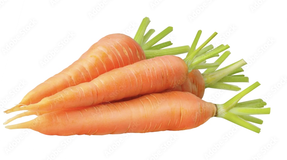Carrot