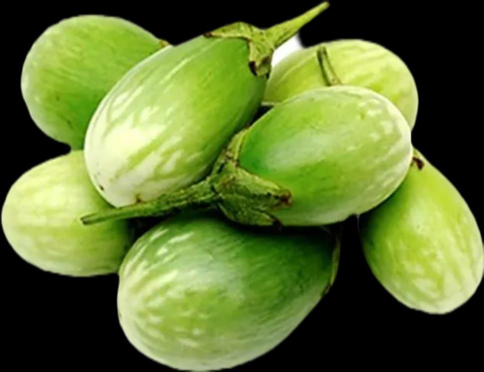 Eggplant