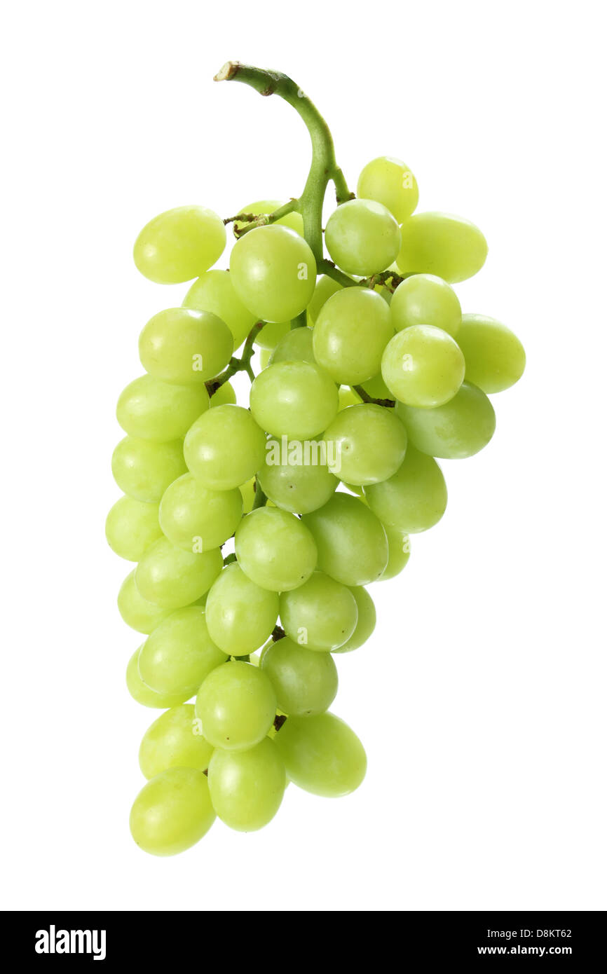 Green Grape