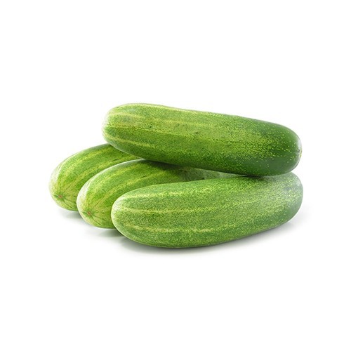 Cucumber