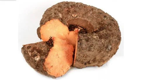 Elephant Yam